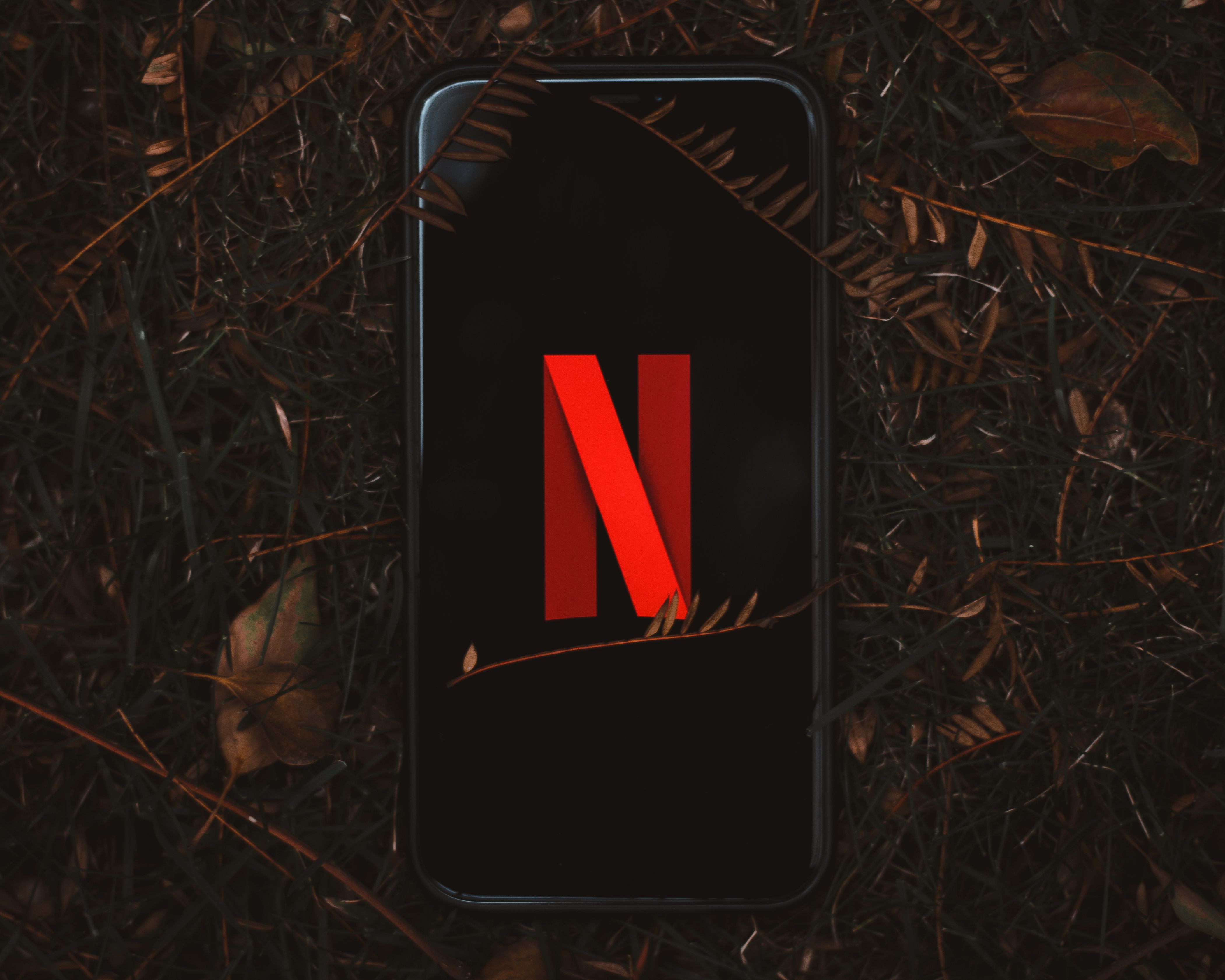 Netflix logo displayed on a smartphone among autumn leaves; illustrative archival photograph taken on 21 August 2020
