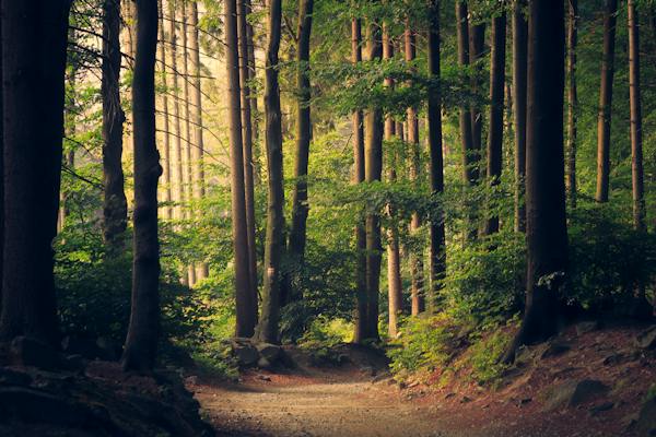 A calm everyday health and wellbeing scene